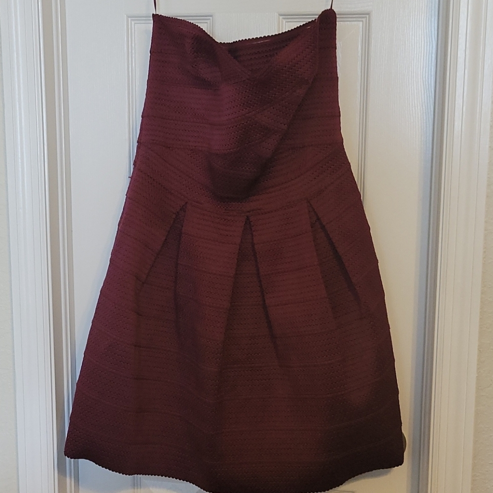 NWT Express Dress